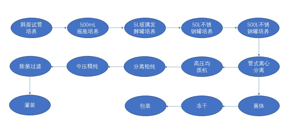 6386044357727987894108771.jpg