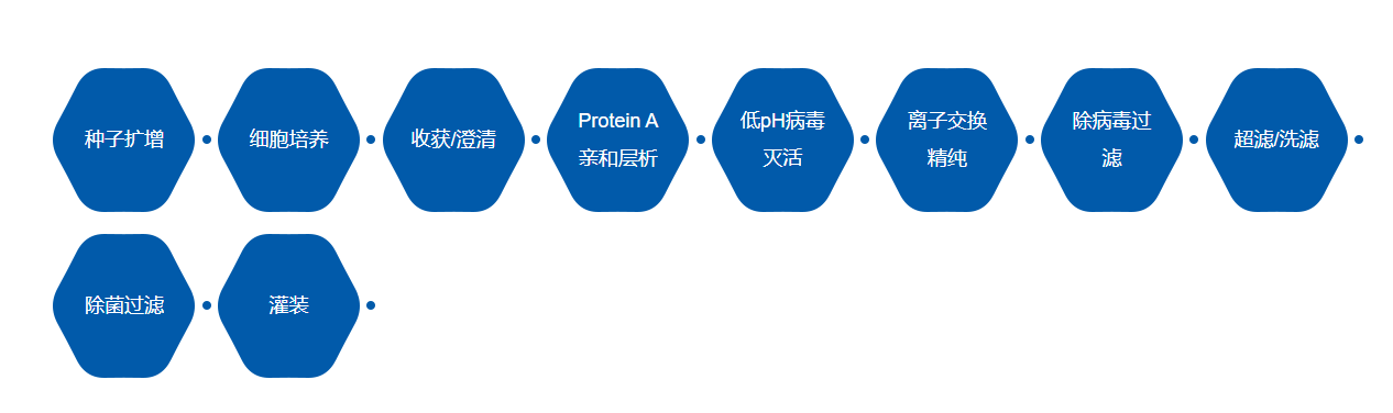 CHO細(xì)胞.png