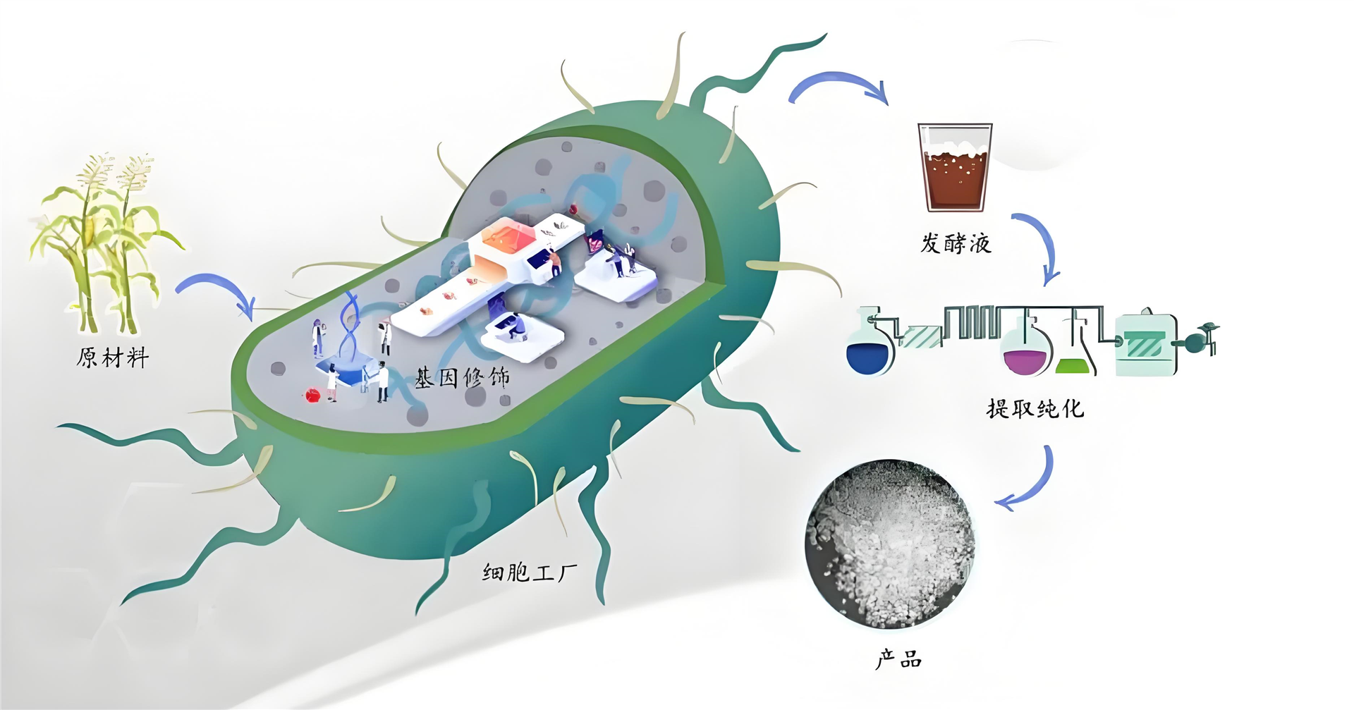 合成生物學(xué)平行反應(yīng)器方案